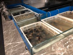 -星伦多海鲜自助餐厅(万达百货店)