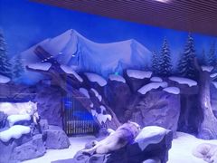 -上海海昌海洋公园-冰山北极馆