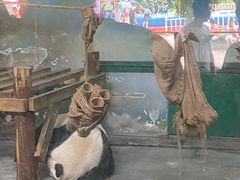 -无锡动物园·太湖欢乐园
