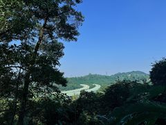 -深圳仙湖植物园