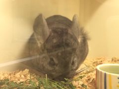 -龙猫仔乐园(惠福东路店)