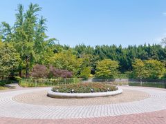 -嘉定紫藤园