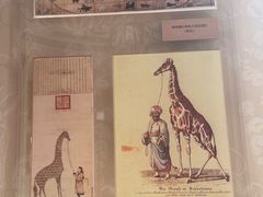 -北京动物园-畅观楼