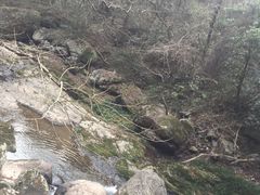 -溪口-滕头旅游景区