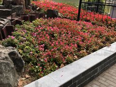 -西安市长乐公园