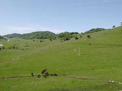 -关山草原