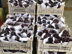 -西郊国际农产品交易中心
