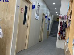 -爱佳宠物中心医院24H·CT·骨外科·猫专科(瑶海万达店)