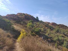 -红山国家森林公园