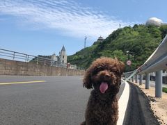-江南天池