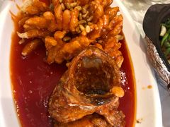 -金蝉食府(维吉奥广场店)