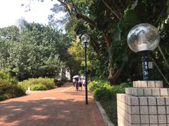 -九龙公园