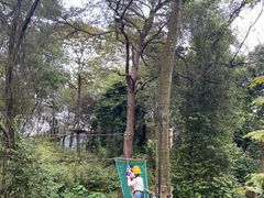 -芦仙山景区-飞越丛林探险乐园