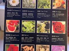 -逸栈养生SPA(望京店)