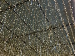 -Plush大堂酒廊(北京金融街威斯汀大酒店)