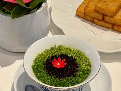 -上海总会SHANGHAICLUB(兴业太古汇店)