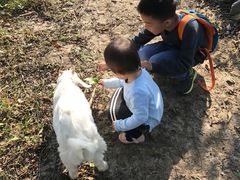 -上海滴水湖皇冠假日酒店