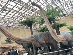 -国家自然博物馆