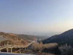 -大青山野生动物园