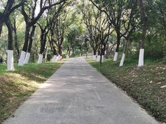 -燕晗山郊野公园