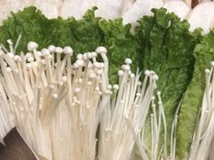 -清真军邺·金富苑肥牛(石坡街旗舰店)