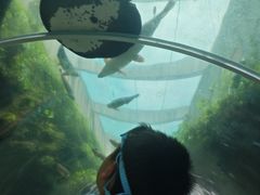 -新加坡水上探险乐园