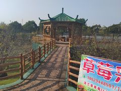 -长廊欢乐园