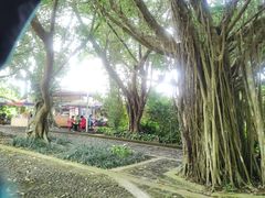 -海口火山口国家地质公园