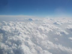 -全聚德烤鸭店(准噶尔路店)