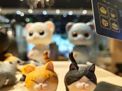 -藏猫猫咖啡主题馆(中央大道店)