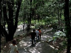 -铁山坪森林公园