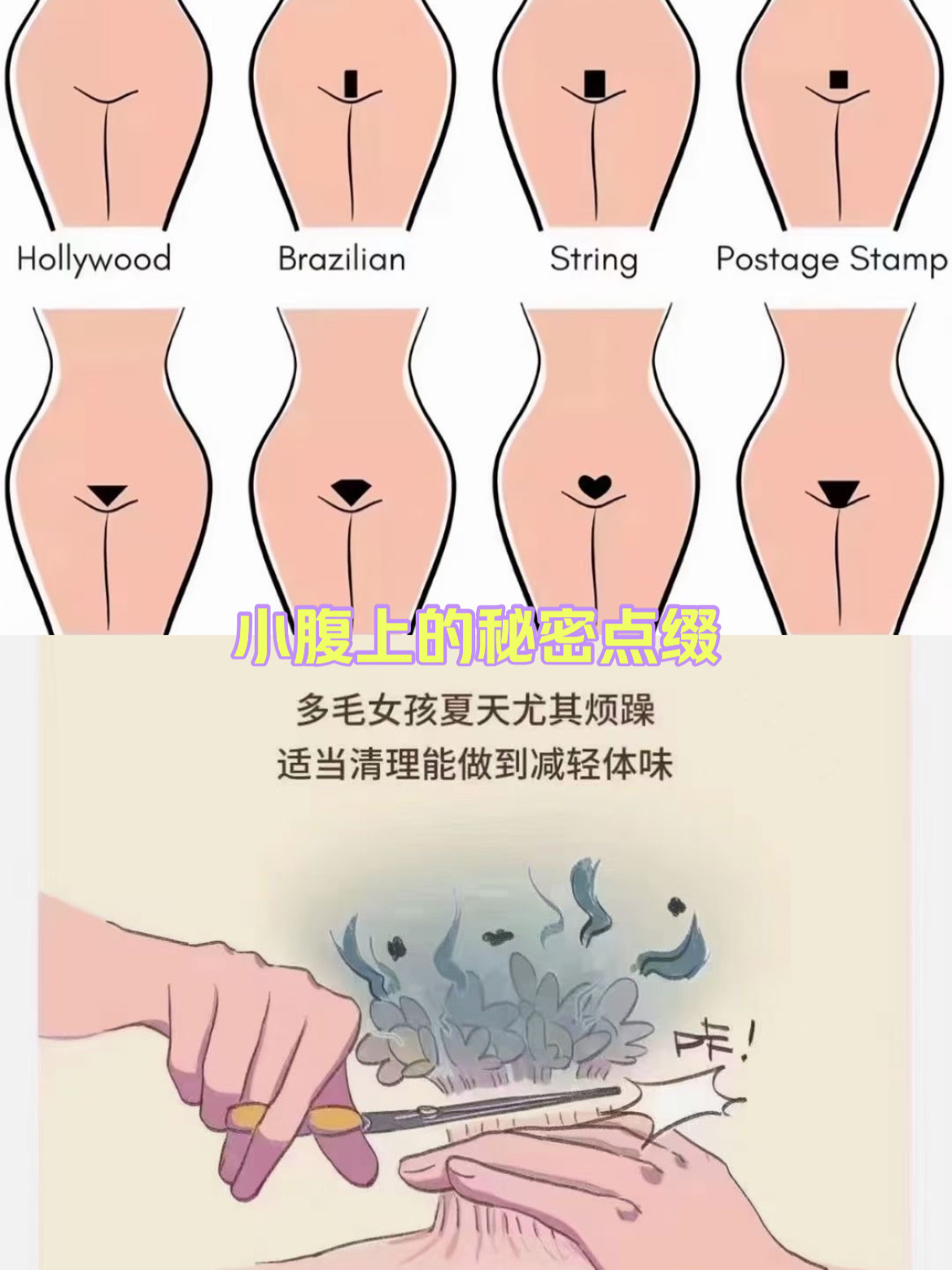 比基尼线位置图片