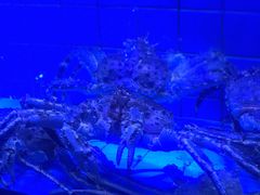 -荣记火锅(青悦城店)