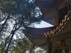 -榴花公园