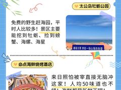 -日照海滨国家森林公园