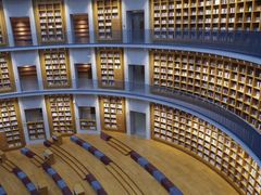 -浙江越秀外国语学院