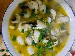 -天鹅到家·保姆月嫂育儿嫂(朝阳店)