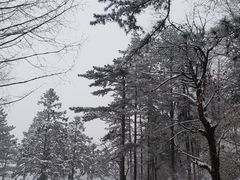 -大别山南武当滑雪场