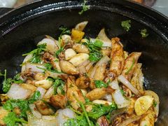 啫啫鱿鱼筒-石岐乳鸽村(南海第三分店)