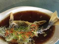 清蒸黄鱼-源泉冷水鱼庄(小鱼洞店)