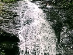 -乌鲁淡布隆国家公园