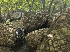 -山叶口景区
