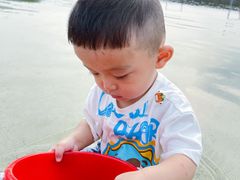 -永定河休闲森林公园