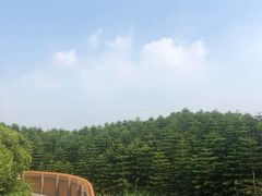 -迪茵湖田家舍生态农场
