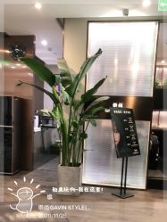 -崇尚GAVIN STYLE臻选