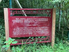 -北高峰