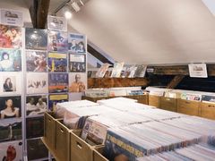 -树懒黑胶唱片店(中山路店)