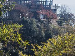 -莫干山风景区