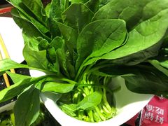 菠菜-渝利重庆火锅