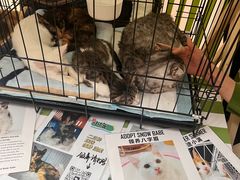 -光启城时尚购物中心